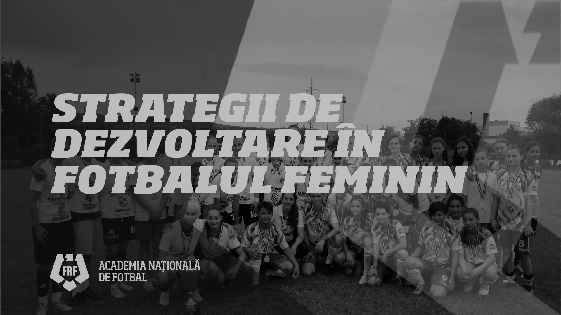 Strategii WEB